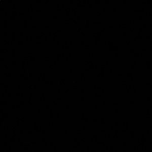 Meet your Posher, Lola